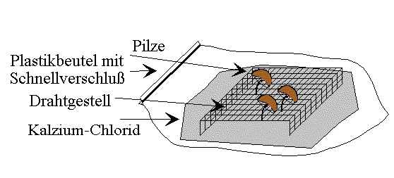 * Abbildung Maschendrahtgestell in Plastiktüte *