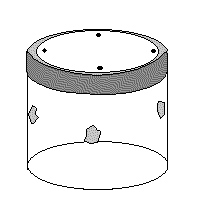 * Kulturglas 5 Tage nach Inokulation *